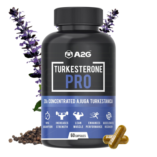 A2G TURKESTERONE PRO | Ajuga Turkestanica Extract for Muscle Growth