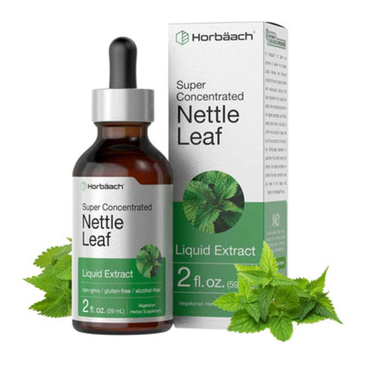 Horbäach Stinging Nettle Leaf Extract | 2oz Liquid