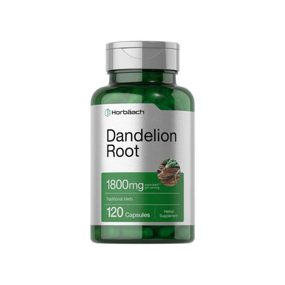 Horbäach Dandelion Root 1800mg per Serving | 120 Capsules