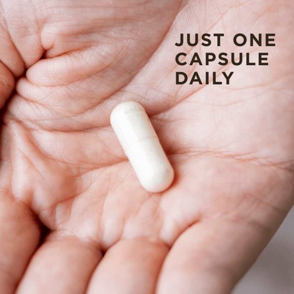 Solgar One Daily Men’s Multi 50+ 60 Capsules