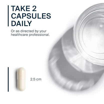 Vital Nutrients Schisandra Extract 1000mg 90 Caps