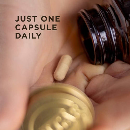 Solgar Memory Support 30 Capsules