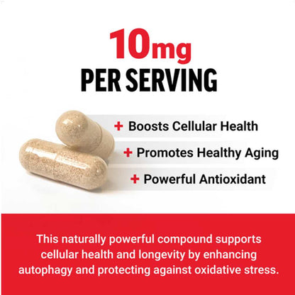 Force Factor Spermidine – 120 Capsule