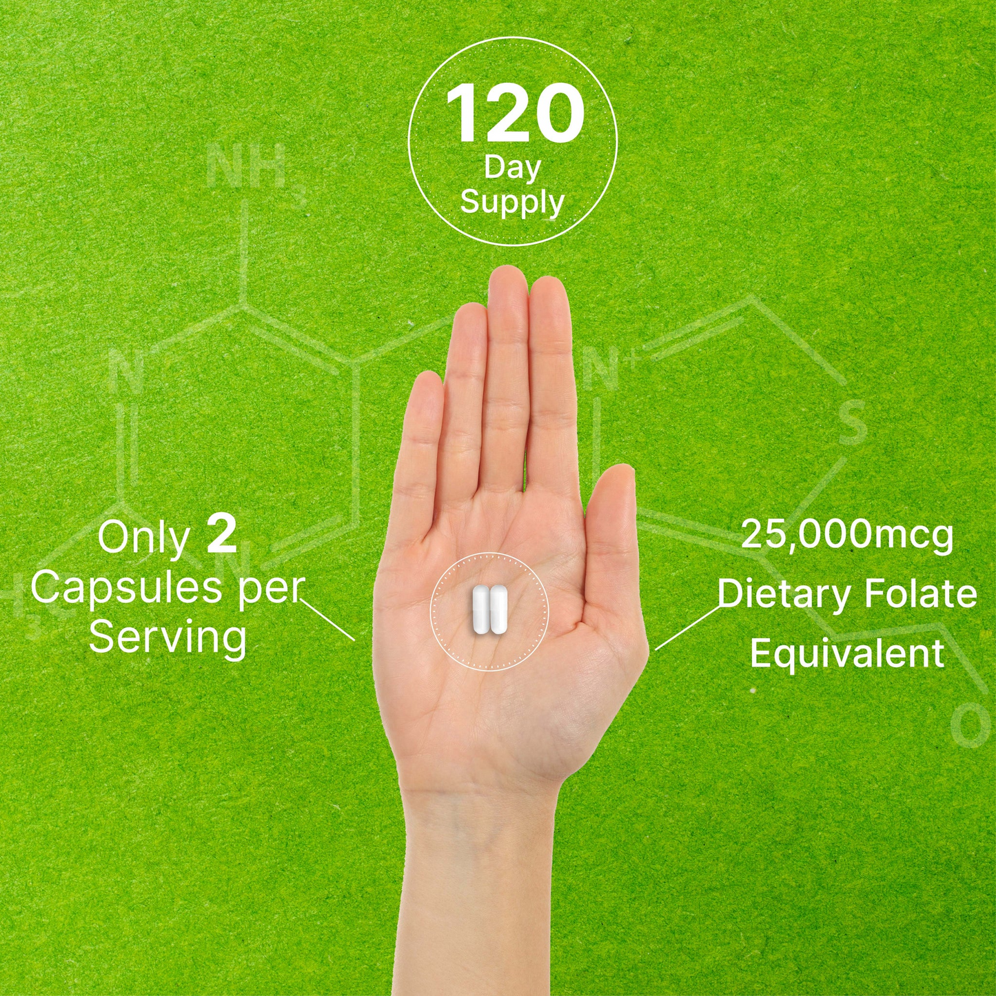 Deal Supplement L Methylfolate 15mg Per Serving, 240 Veggie Capsules