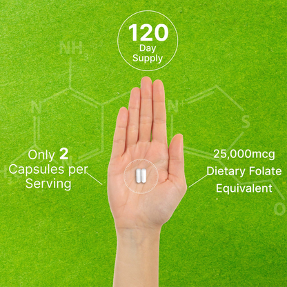 Deal Supplement L Methylfolate 15mg Per Serving, 240 Veggie Capsules