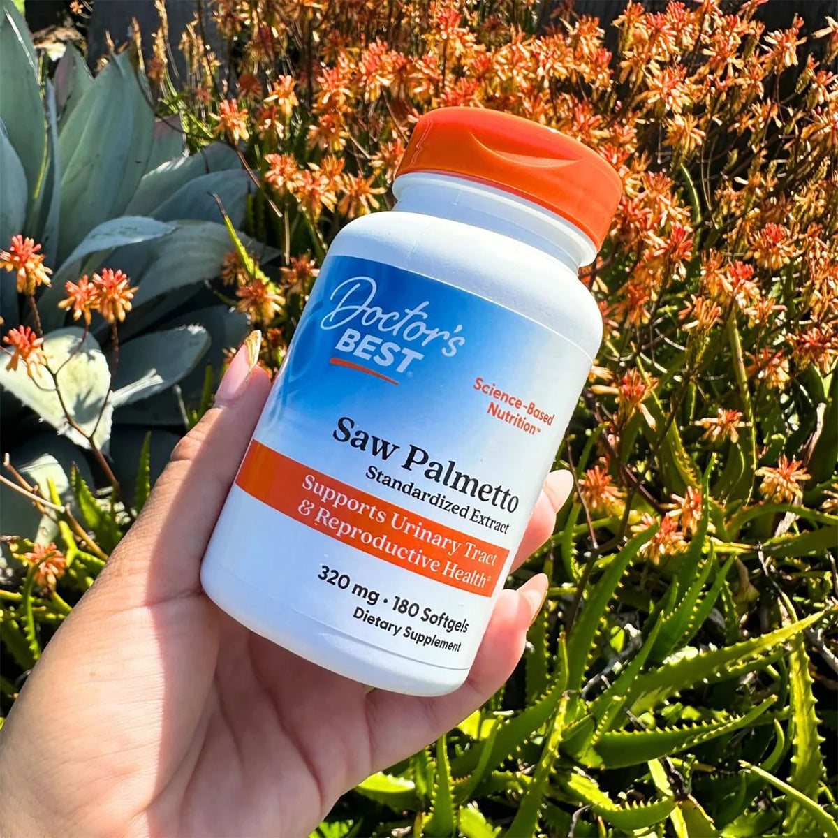 Doctor's Best Saw Palmetto Standardized Extract 320mg Softgels 180 Count
