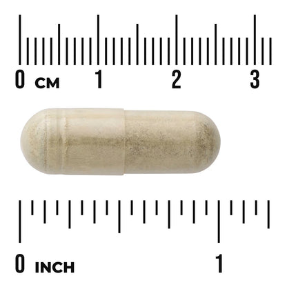 Swanson Olive Leaf Extract 60 caps