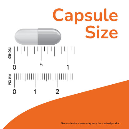 Now Foods Coral Calcium 1000mg – 100 Capsules