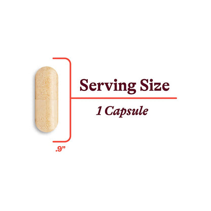 Seeking Health B Complex Plus With Choline 100 Capsules Brain, Energy & Digestion
