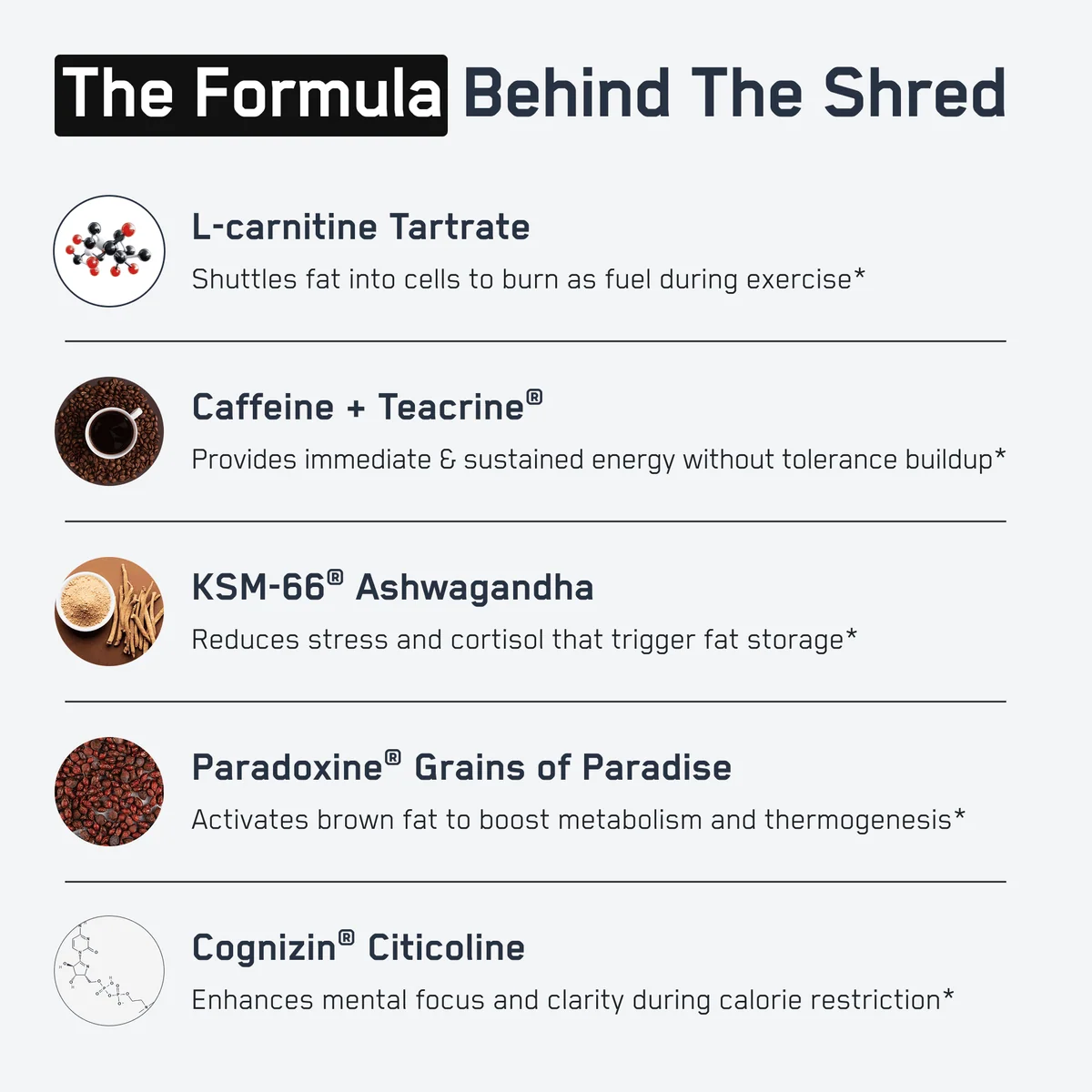 Steelfit Shredded Steel Weight Loss 90 Capsules Pakistan