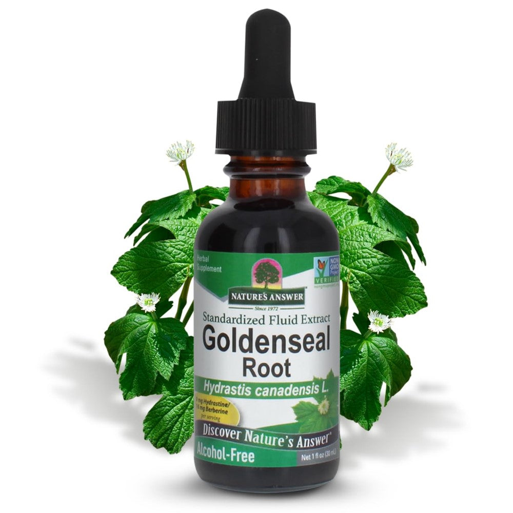 Nature's Answer Goldenseal Root Extract – Alcohol-Free, Standardized Fluid Extract (Hydrastis Canadensis)